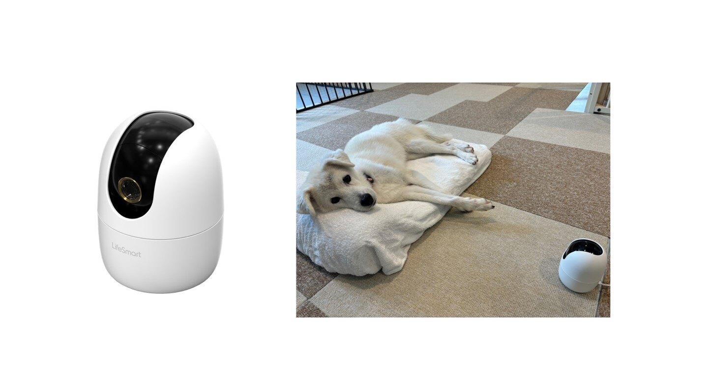 Life Assist2」から「屋内カメラLS278」を 保護動物シェルター